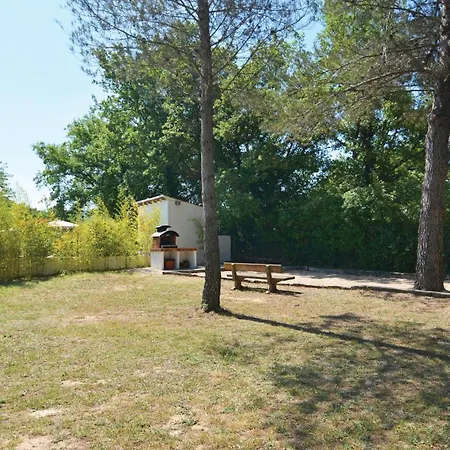 Pet Friendly In Trets